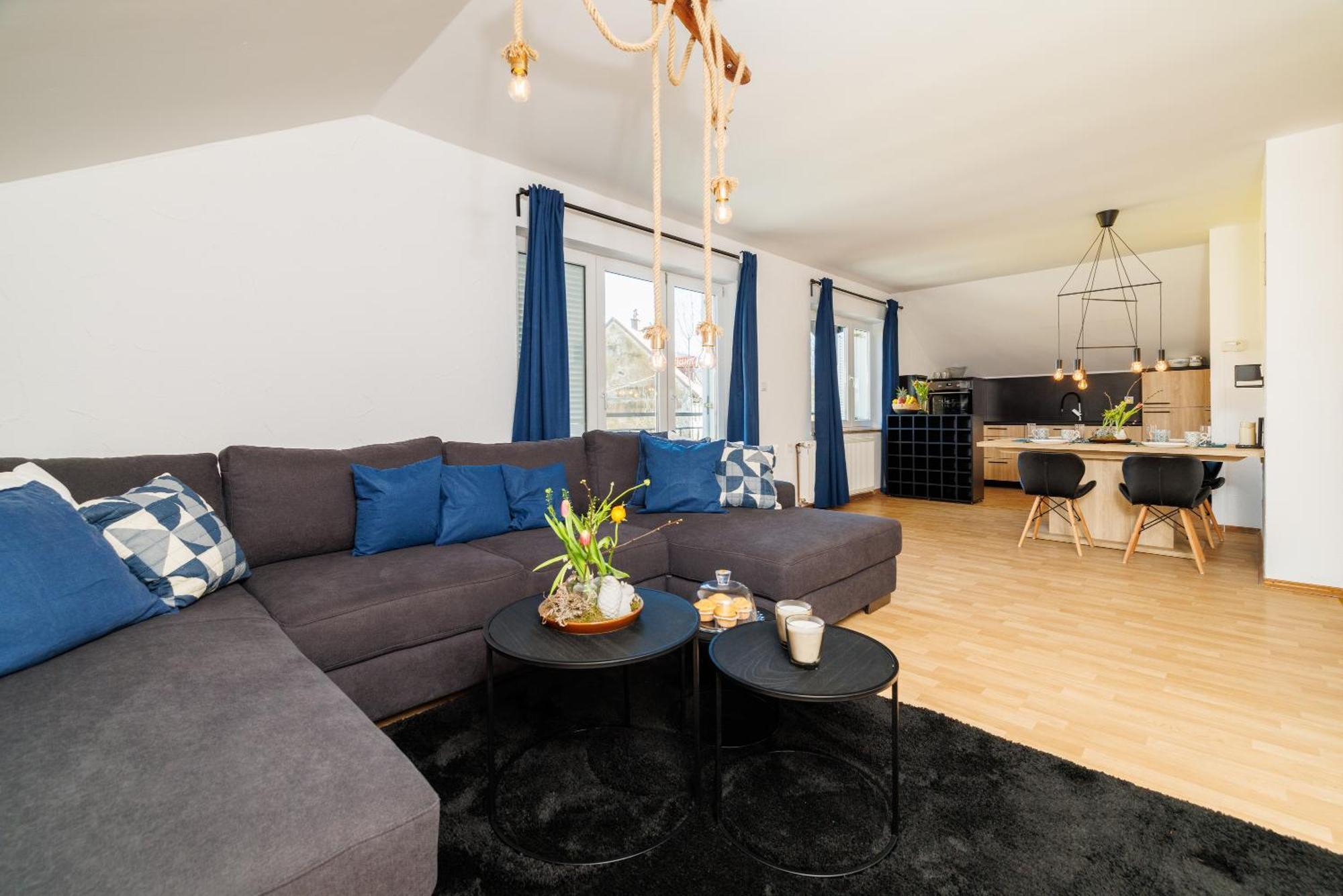 Andelic- 1 Apartment Fuzine