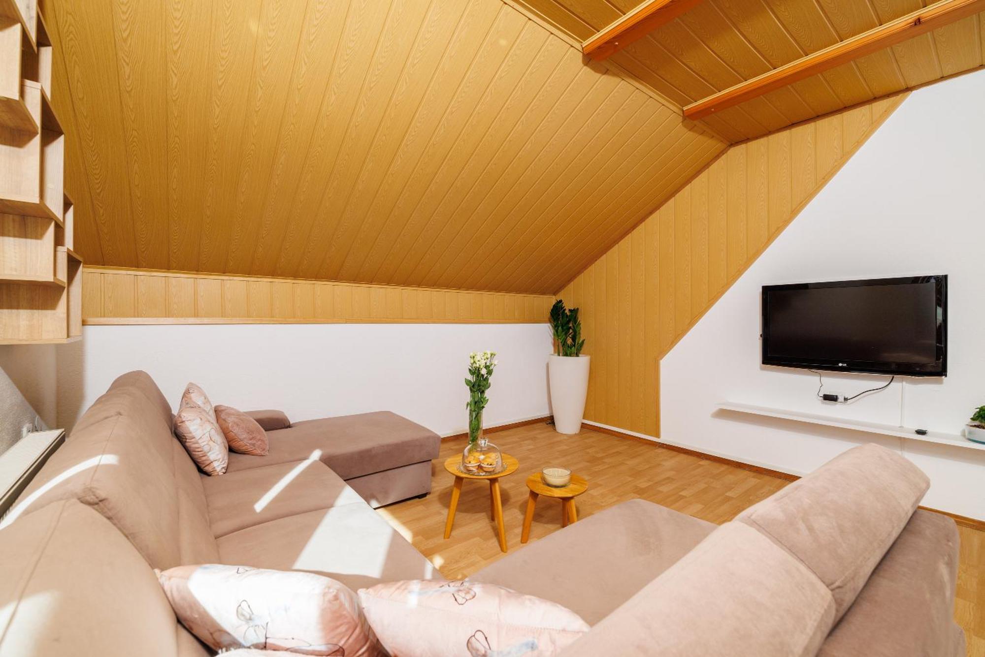 Andelic- 1 Apartment Fuzine
