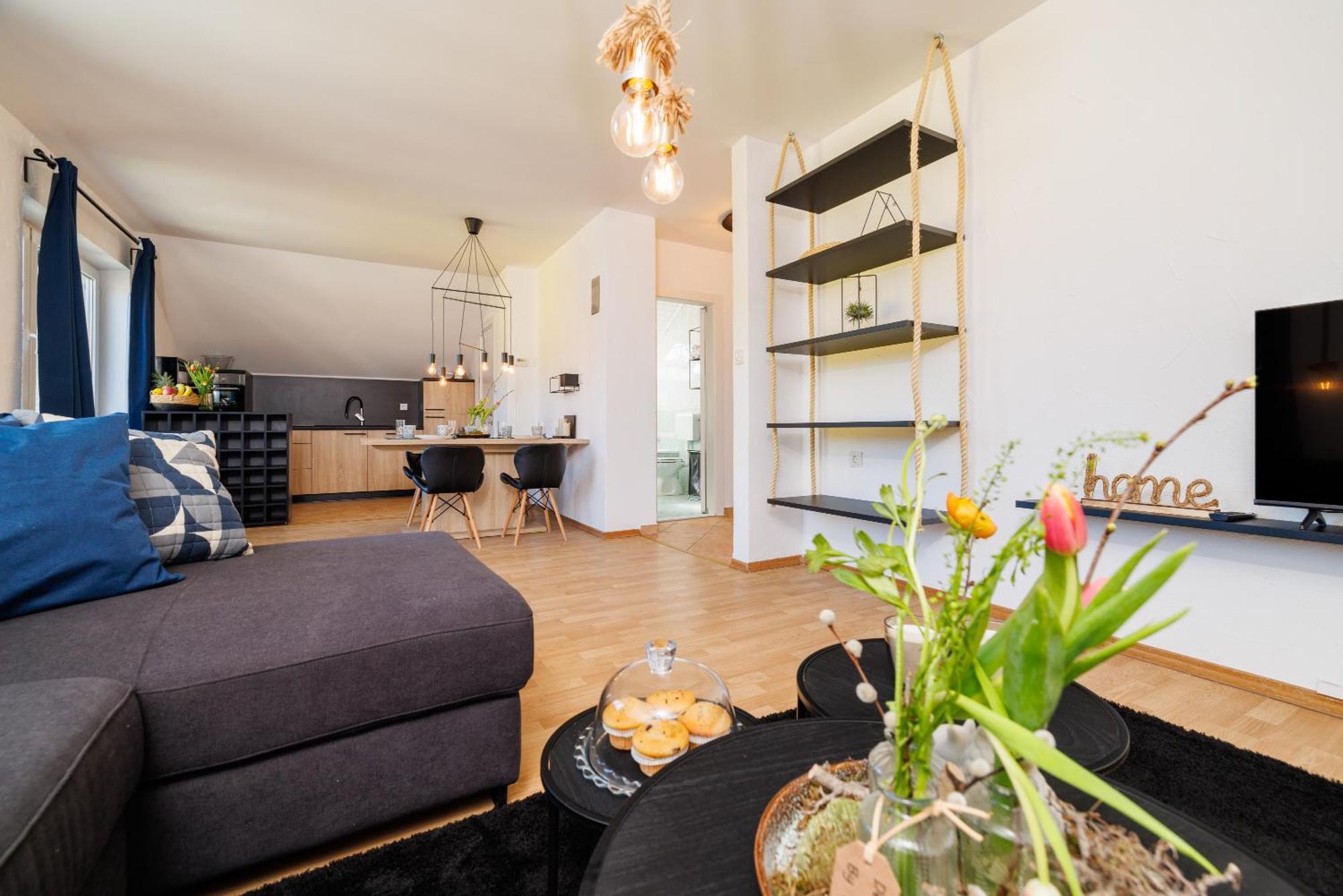 Andelic- 1 Apartment Fuzine